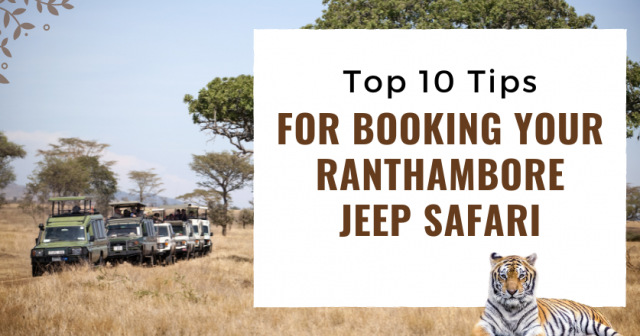 Top 10 Tips for Booking Your Ranthambore Jeep Safari