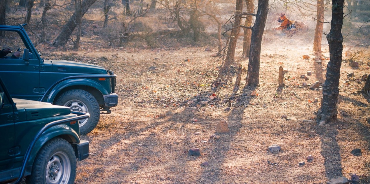 Ranthambore National Park