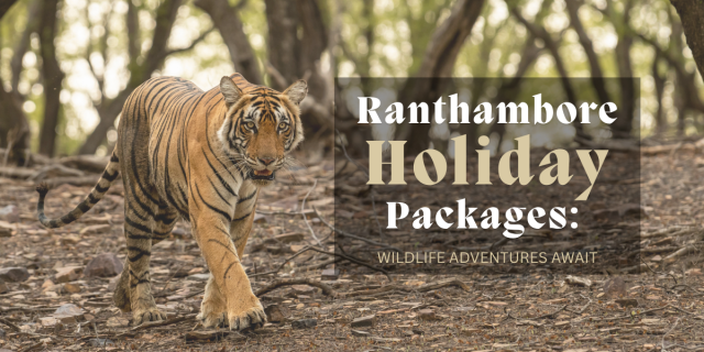 Ranthambore Holiday Packages: Wildlife Adventures Await