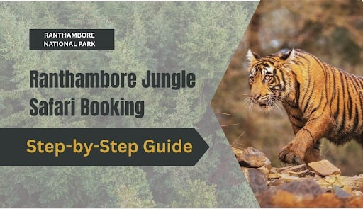 Step-by-Step Guide to Ranthambore Jungle Safari Booking