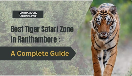 Best Tiger Safari Zone in Ranthambore: A Complete Guide