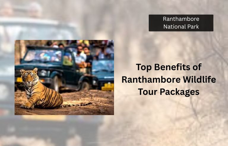 Top-Benefits-of-Ranthambore-Wildlife-Tour-Packages_20250530-093432_1