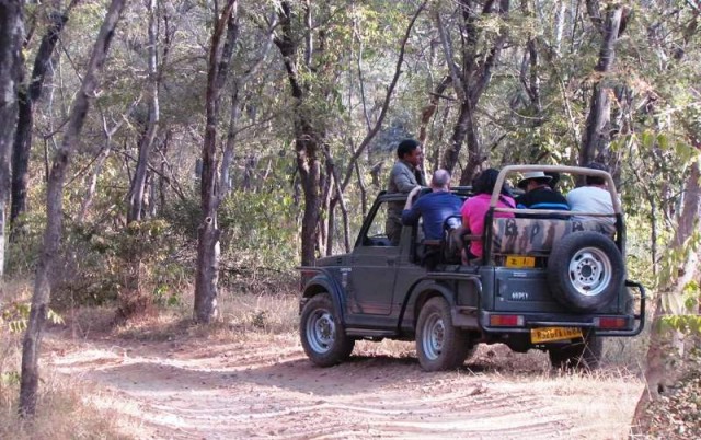 Now, full day and half day safaris will be conducted in zones 6 to 10 of Ranthambore, while zones 1 to 5 will be for a scheduled safari time