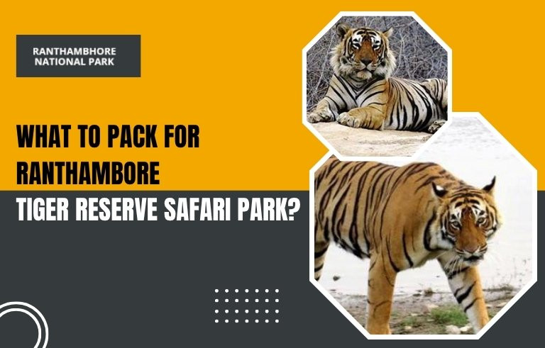 What to Pack for Ranthambore Tiger Reserve Safari Park?