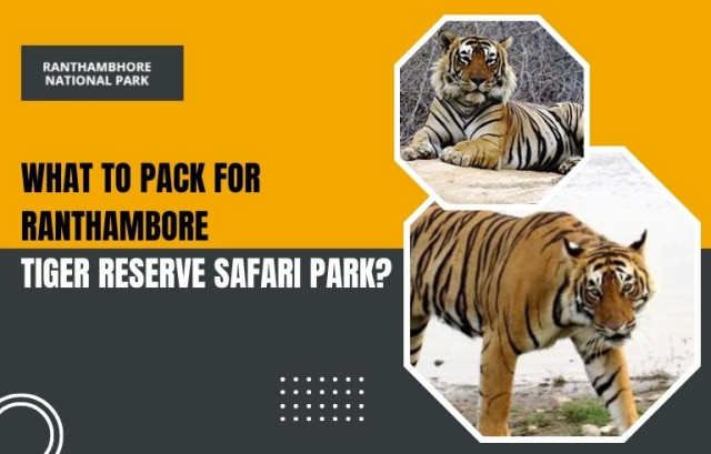 What to Pack for Ranthambore Tiger Reserve Safari Park?