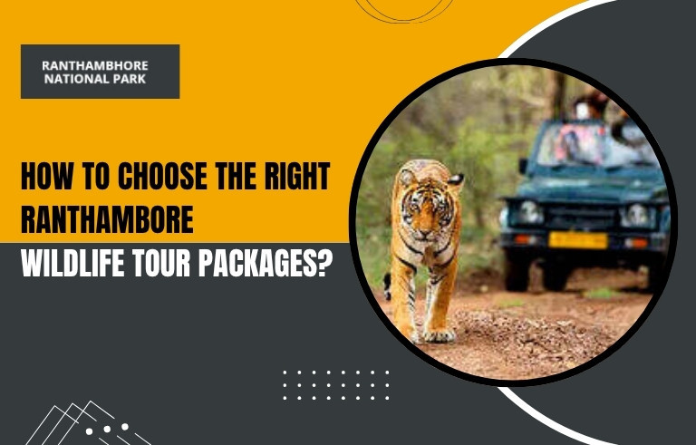 How to Choose the Right Ranthambore Wildlife Tour Packages?