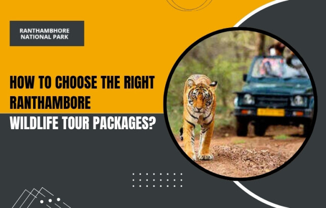 How to Choose the Right Ranthambore Wildlife Tour Packages?