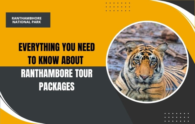 Everything You Need to Know About Ranthambore Tour Packages