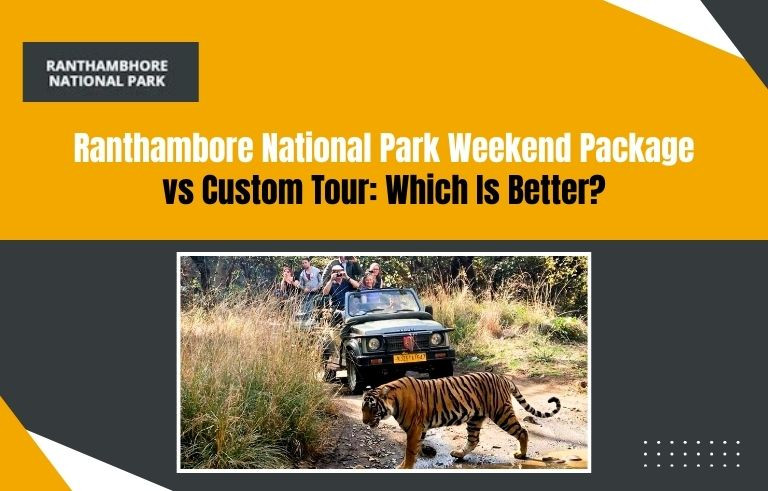 Ranthambore National Park Weekend Package vs Custom Tour: Which Is Better?