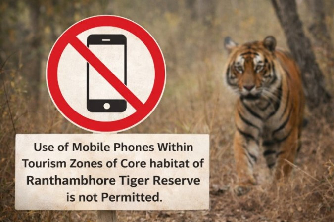 Mobile Phone Ban during Ranthambore Safari: A Positive Step for Wildlife Conservation
