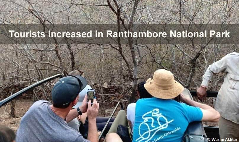 tourist-increased-in-ranthambore