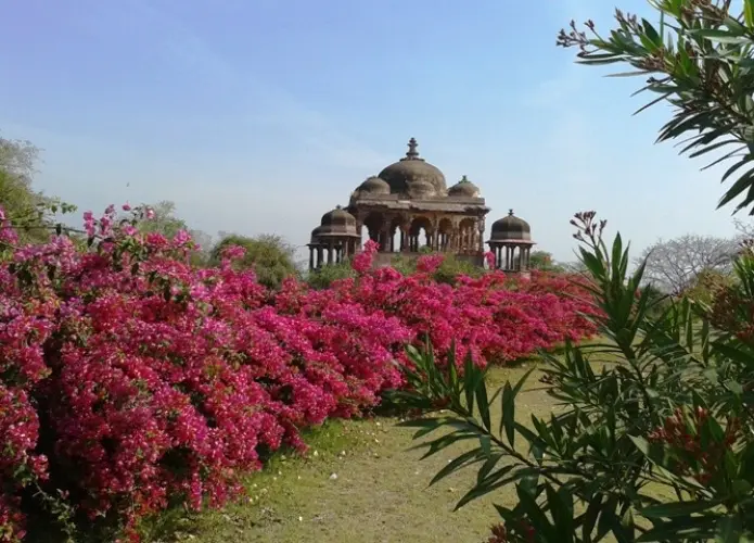 Kota to Ranthambore Tour Package