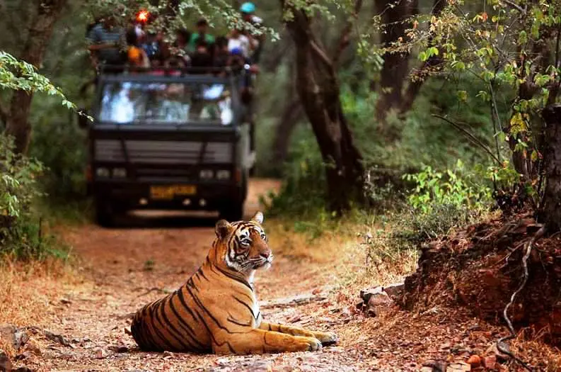 Ranthambore Weekend Tour Package